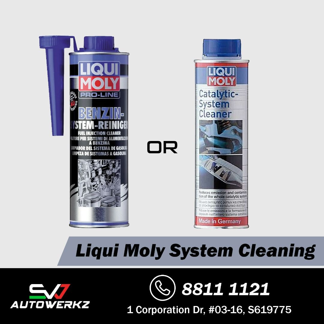 Liqui Moly System (Fuel & Catalytic) Cleaning, Fuel Injection Cleaner, Pro  Line Benzin System Reiniger, Catalytic System Cleaner