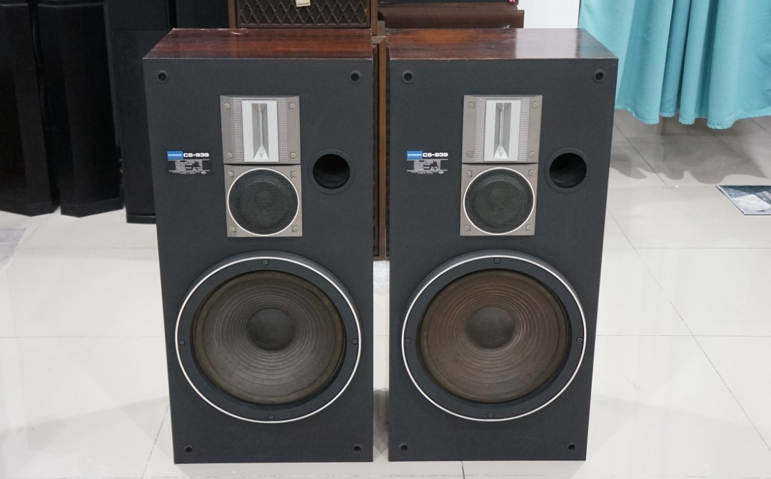 Pioneer cs shop 939 speakers