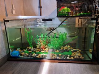 (Category: ) located in . Submitted by bonjonie (Listing ID 1254208897, Image 1). Description: .
