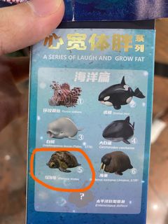 （分類：）位於 。 由 rtrafiel11439 提交（商品編號 1254433034，圖片 1）。簡介： 。