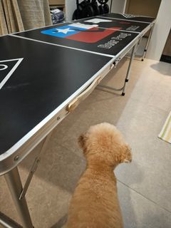 （分類：）位於 。 由 connie25082001 提交（商品編號 1254441416，圖片 1）。簡介： 。