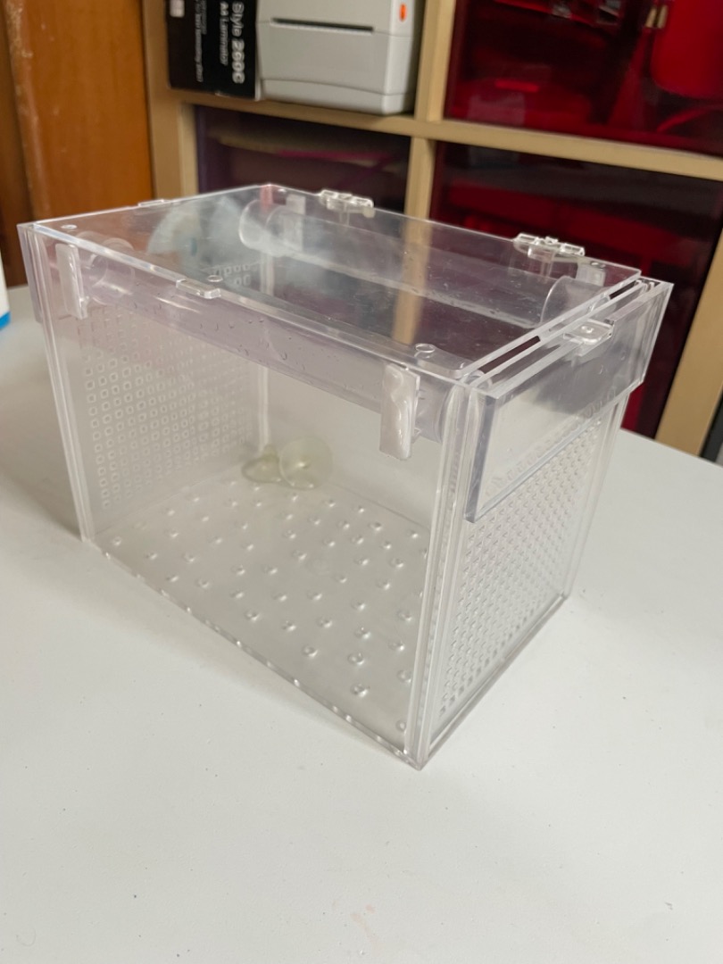 Aquarium separator float, Pet Supplies, Homes & Other Pet Accessories