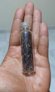 (Category: ) located in . Submitted by munni92 (Listing ID 1254444795, Image 1). Description: .