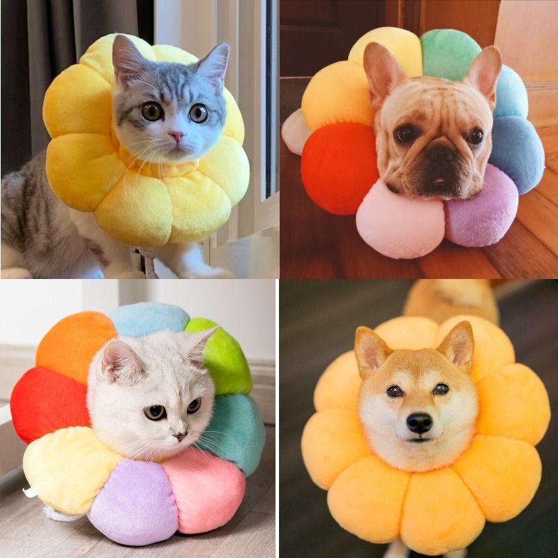 CAT DOG CONE COLLAR COMFY SOFT CONE COLLAR Anti Lick