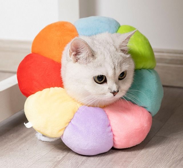 Cat store soft cone