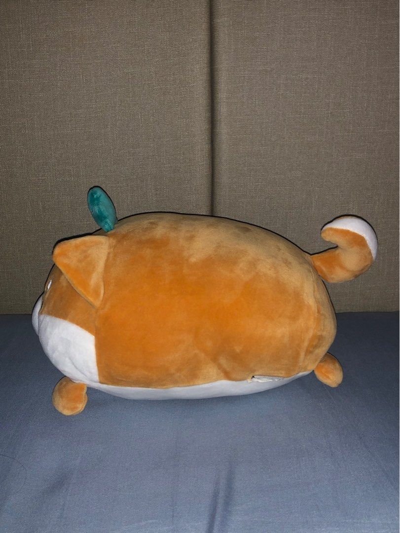 Corgi stuffed toy miniso outlet