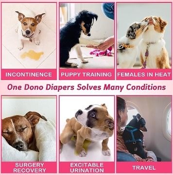 Xxs dog diapers online