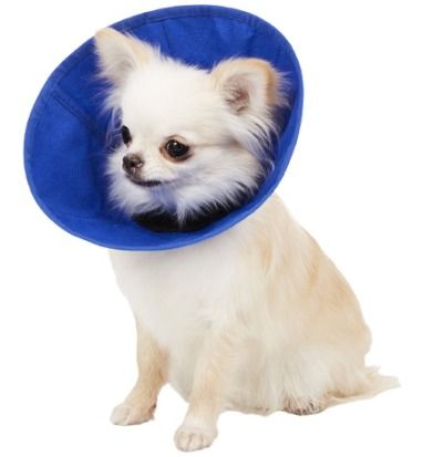 KONG Ez Soft Dog or Cat E Collar SOL3138