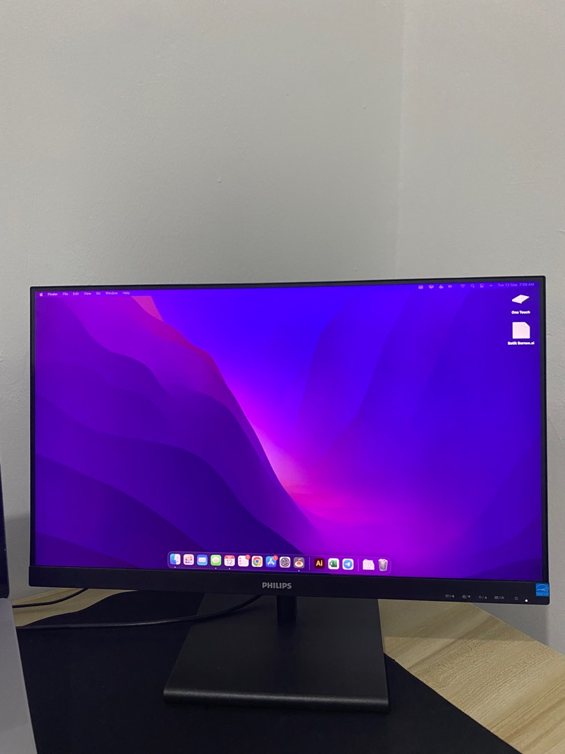 Monitor Phillips IPS 144Hz PHILIPS 242E11, Computers & Tech, Parts ...