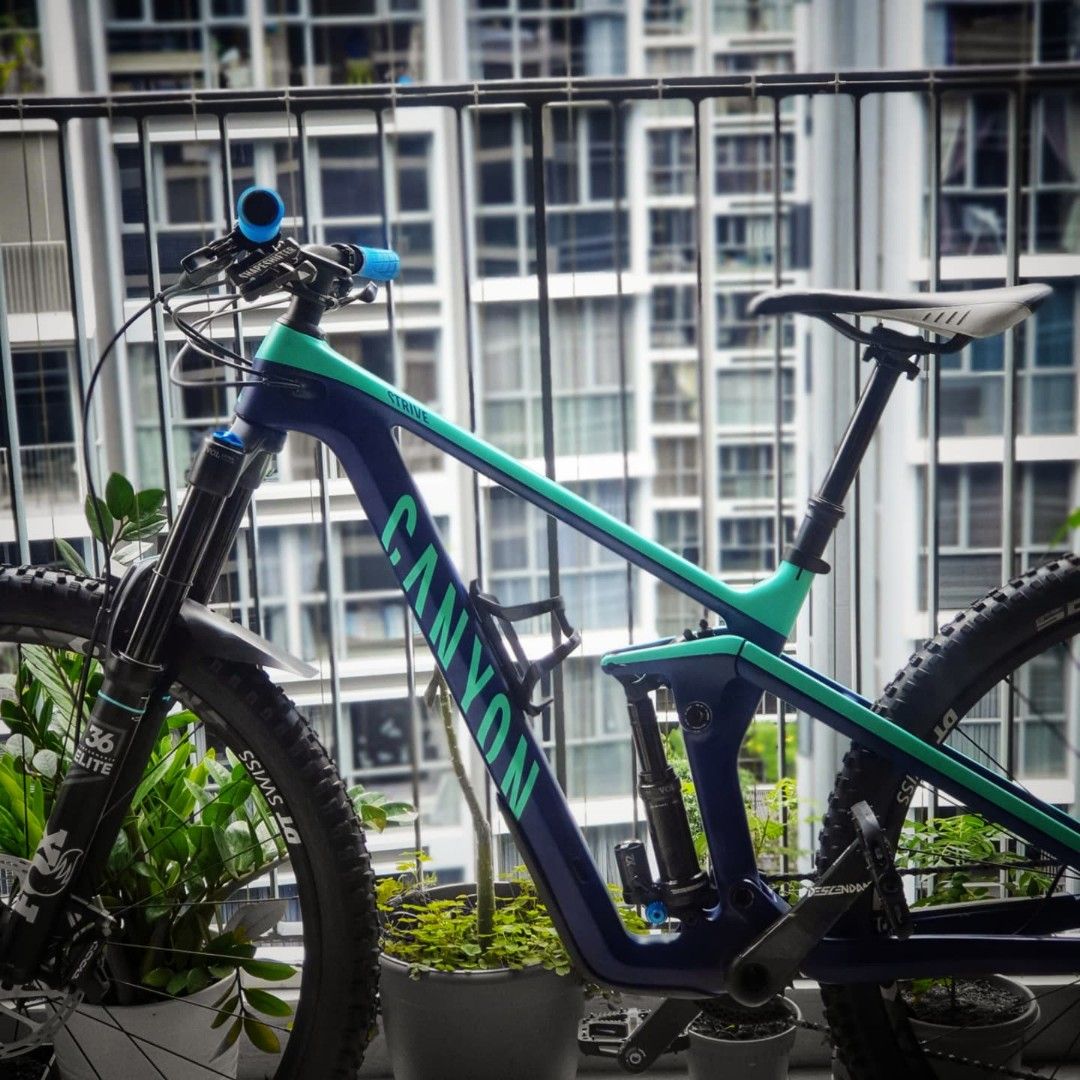 Canyon strive cf 8.0 2019 outlet