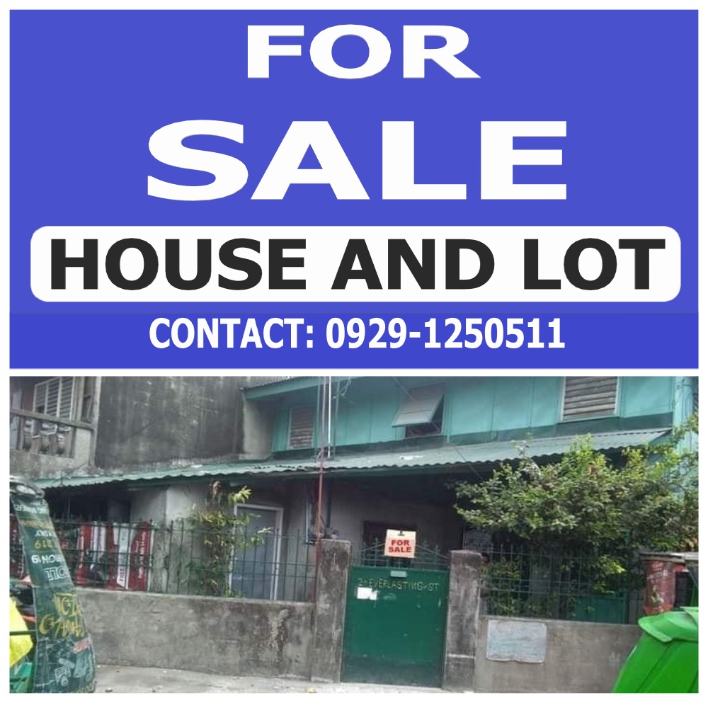 Caa Las Pinas City Property For Sale House And Lot On Carousell 2128