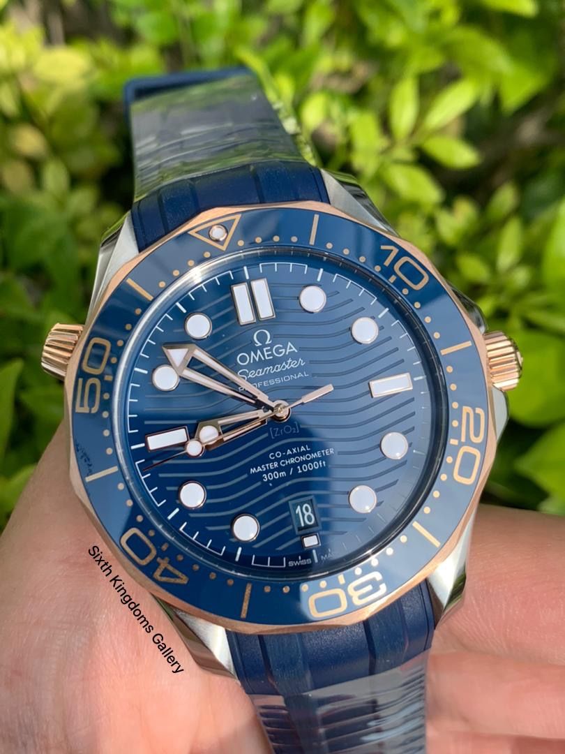 Omega Seamaster Professional Master Chronometer Diver 300M 42mm 210.22.42.20.03.002
