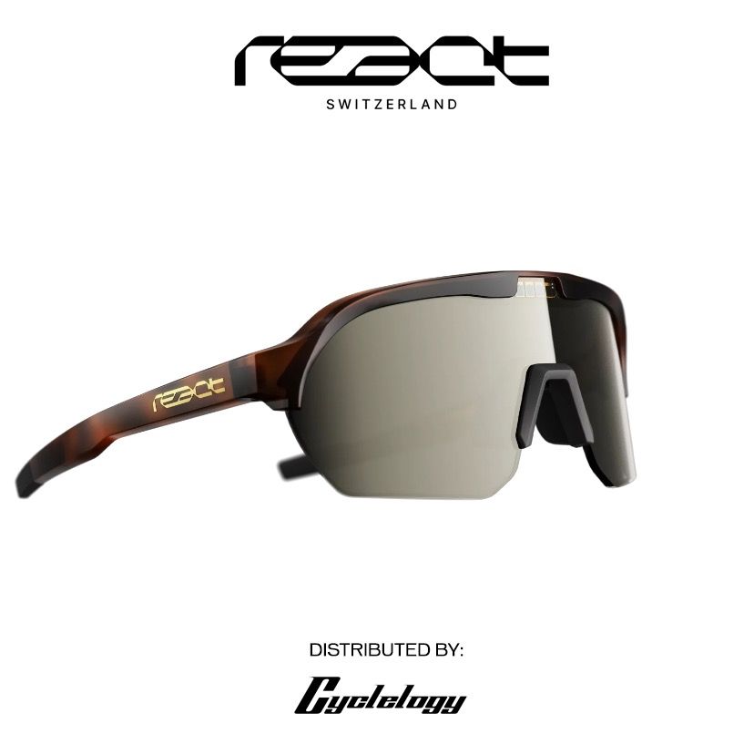 REACT Optray Sunglasses Eyewear, Men's Fashion, Watches