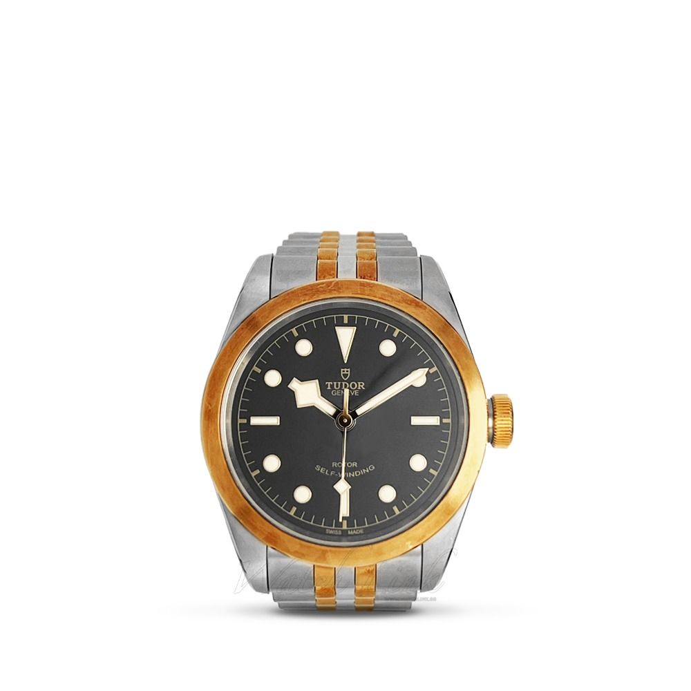 79543 tudor online
