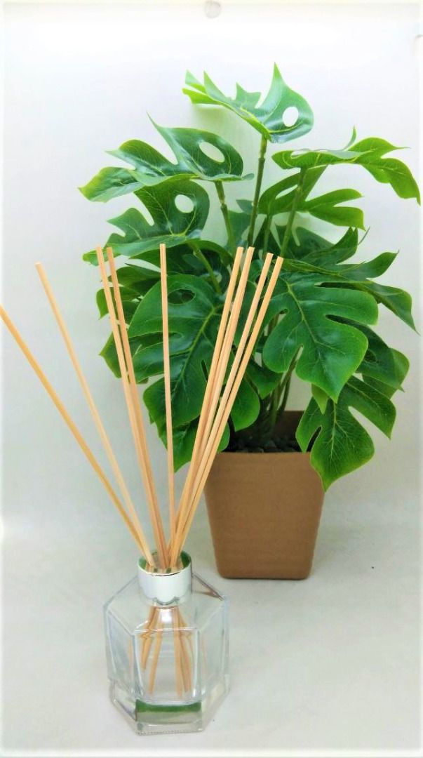 100ml Hexagonal Glass Reed Diffuser with 10 sticks, TV & Home ...