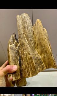 Agarwood / Chengxian/ Gaharu  deco