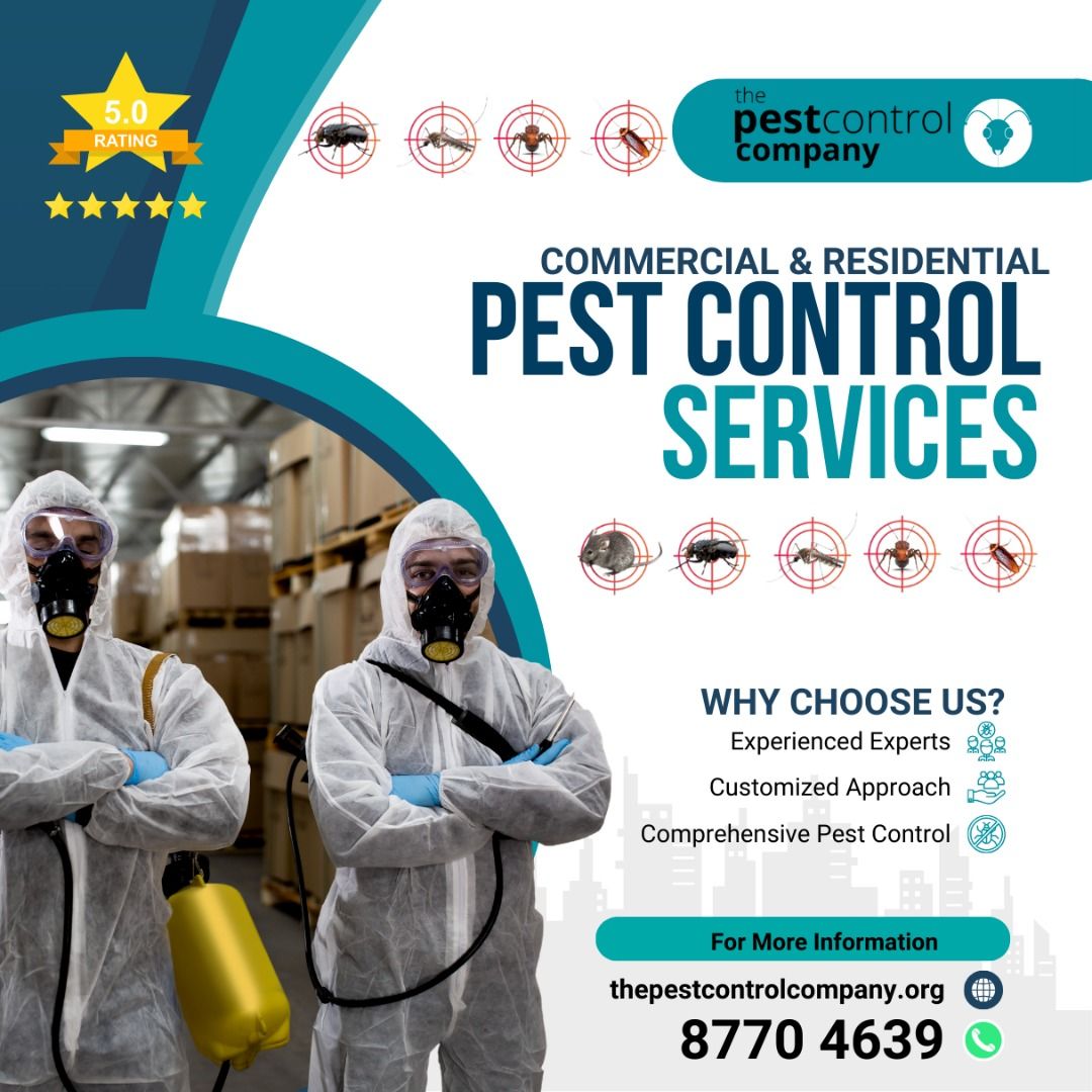 All pest issues - Beetles / Rat/ Rodent/ Cockroach/ Termite/ Bedbugs/ Ants/ Mosquitoes/ House flies/ Fruit Flies/ Bees/ Hornets/ Wasps/ Bagworms/ Silverfish/ Rodents/ Mice Mouse/ White Ants/ Insects. We will help you control . call us now (Category: Pest Control Services) located in Singapore. Submitted by wicleansoon (Listing ID 1254449237, Image 1). Description: Out of so many pest controlling companies to choose from out there, how do you choo