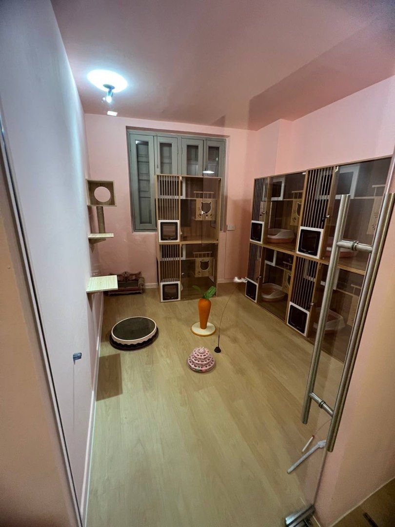 Cheap cat hotel best sale