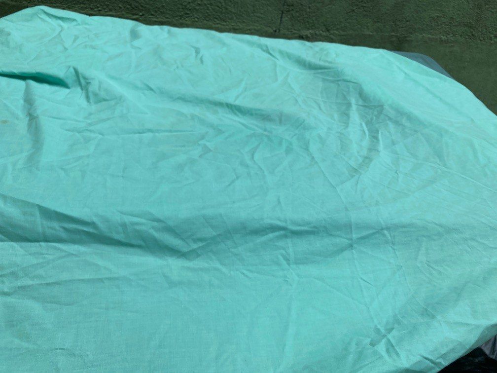 Mint crib sheet 2025