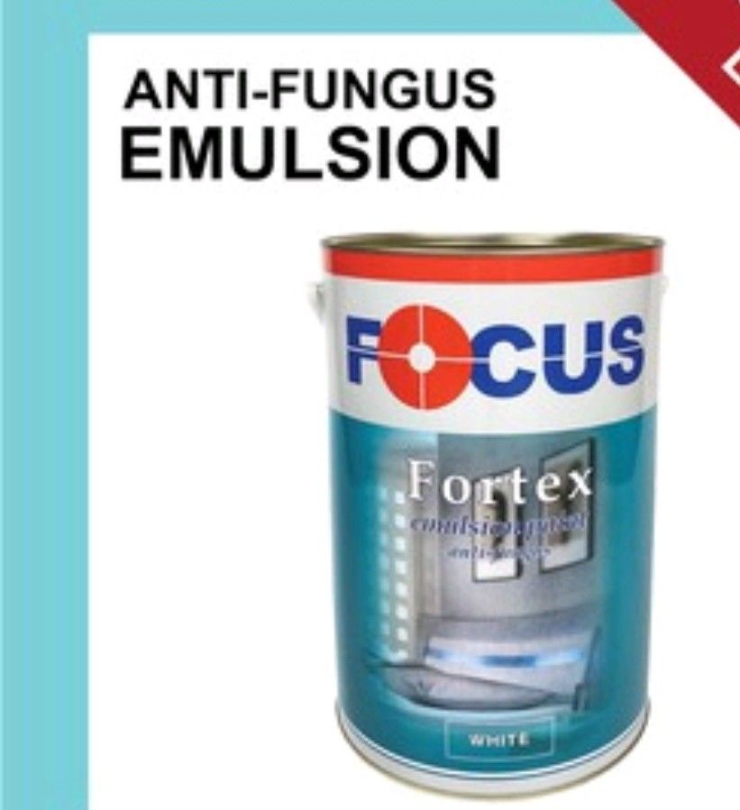 Focus fortex emulsion paint white, Furniture & Home Living, Home