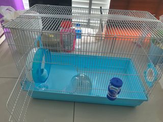(Category: ) located in . Submitted by cleothecat1 (Listing ID 1254528135, Image 1). Description: .