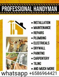 Whole house painting service. whole house renovation. Electrical service. plumbing service. drilling service. carpentry service.home repair service