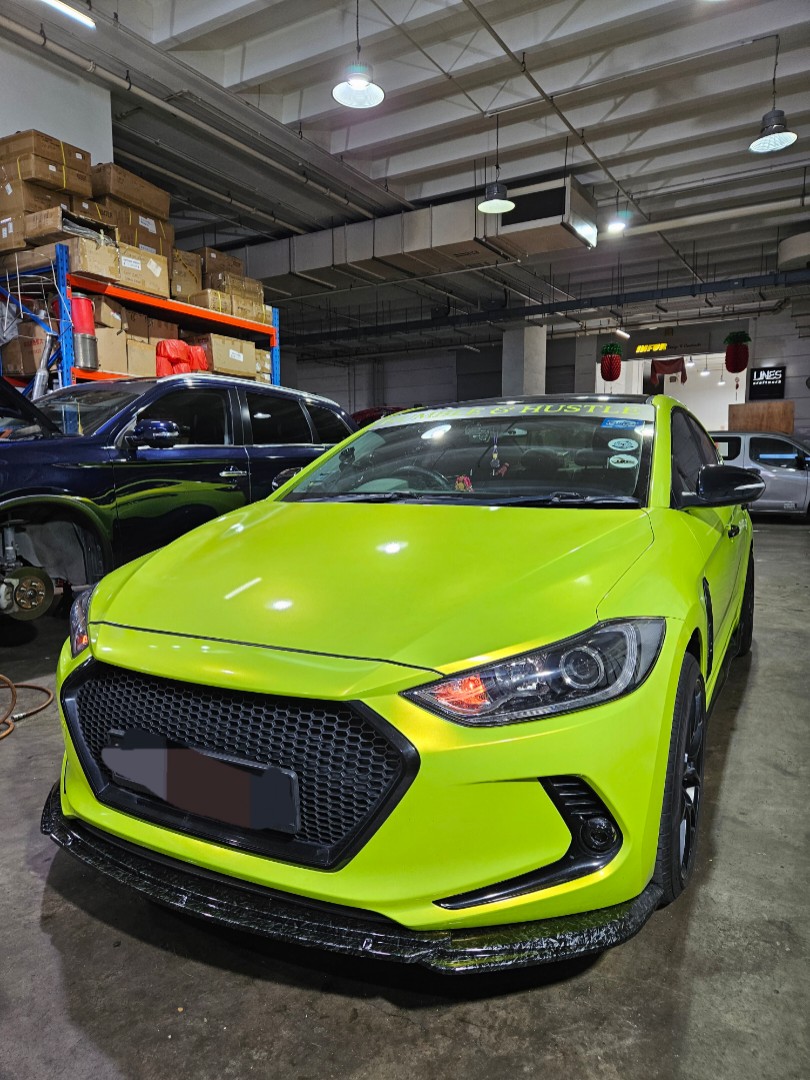 2017 - 2018 Hyundai Elantra Sport Mesh Grill Insert