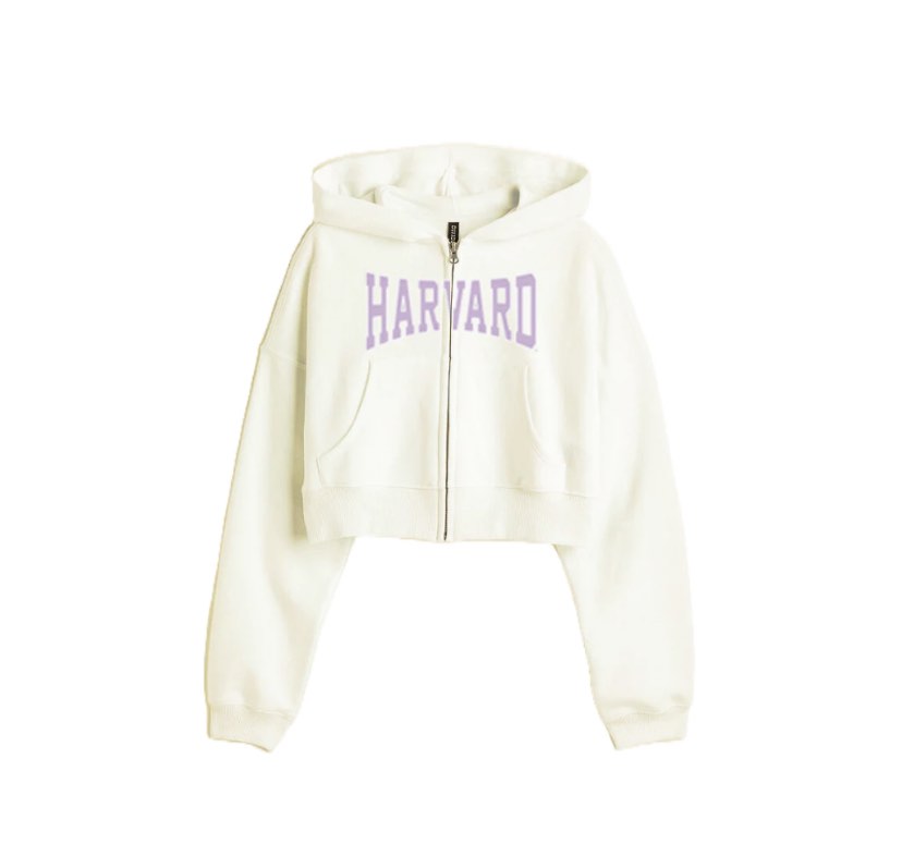 Harga hoodie crop h&m outlet