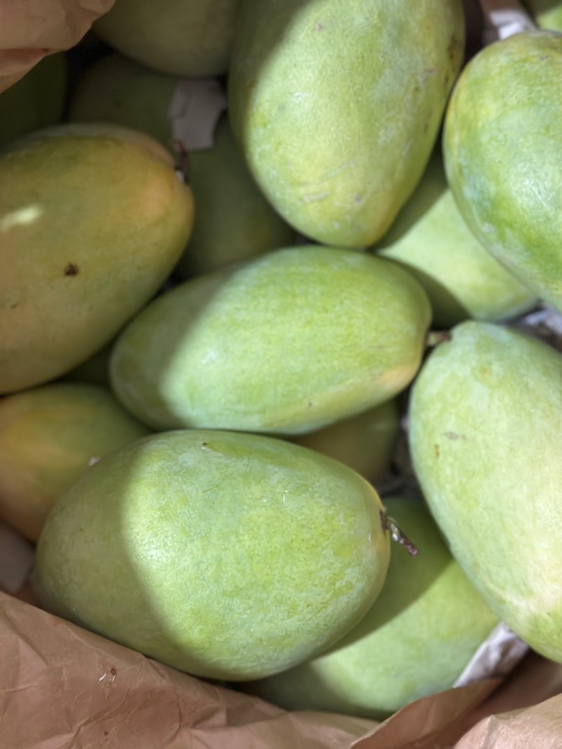 Mango Farm for Sale, Property, For Sale, Lot on Carousell