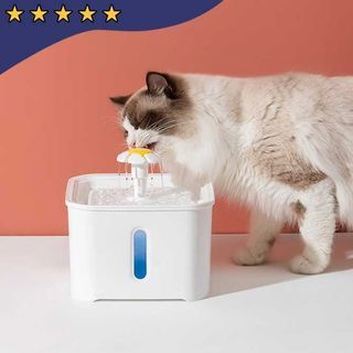 New! VILLA Water Dispenser Tempat Minum Anjing Kucing 2.5 Liter - ZF19002
