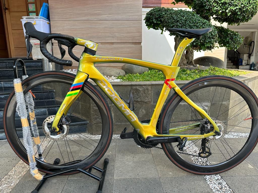 pinarello grenadier gold