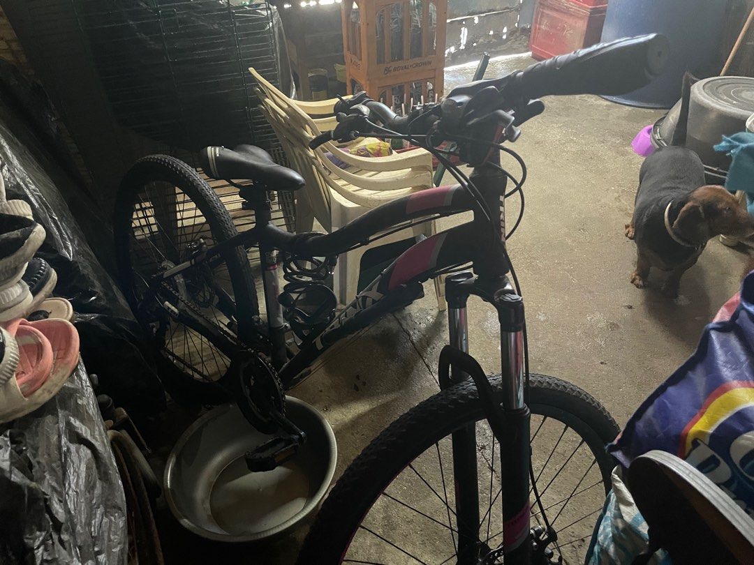 Price is negotiable TRINX NANA N106 2021 Model Ladies Mountain Bike MTB 26er Sports Equipment Bicycles Parts Bicycles on Carousell