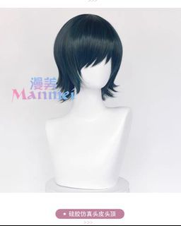 WTS Himeno Wig