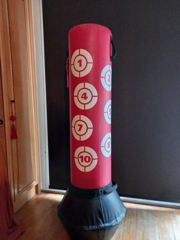 Aibi punching bag new arrivals