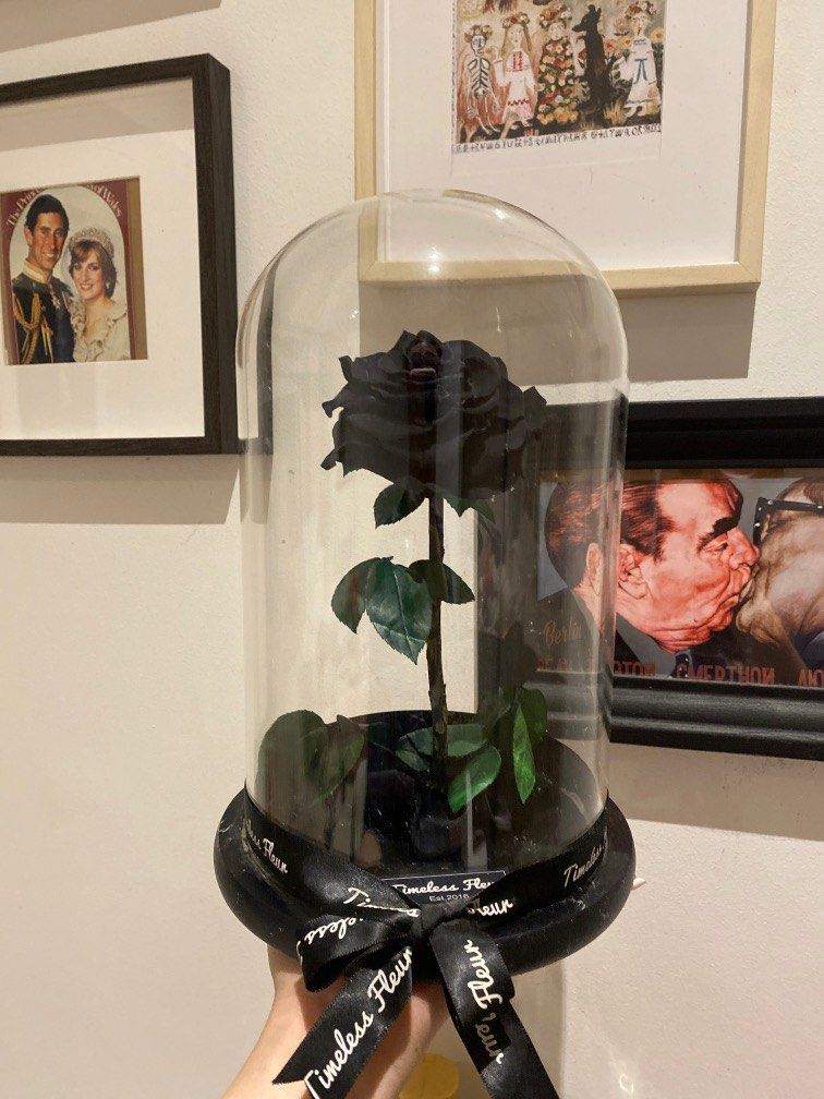 Black preserved rose, Everything Else on Carousell