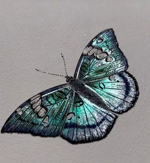 Butterfly metallic watercolor