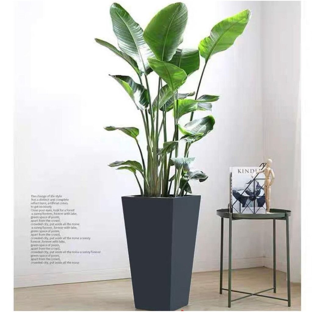 Cement Planter Pot Flowerpot Ceramic Outdoor Big Plant Pot Concrete ...