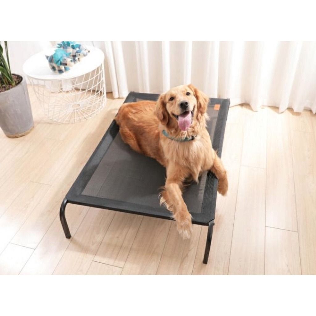 Elevated mesh dog sale bed