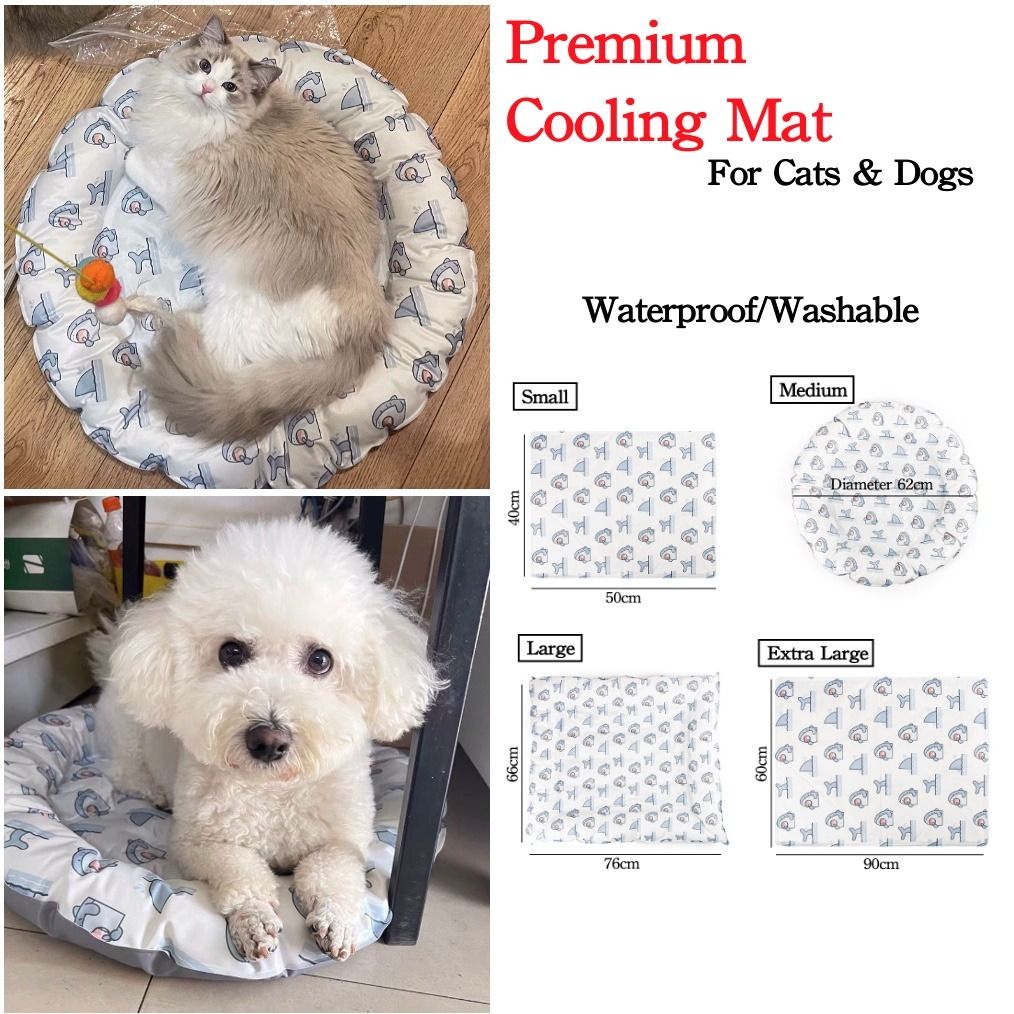 Dog beds store trampoline style