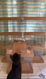 (Kategori: ) berada di . Dikirim oleh keepyours (ID iklan 1254723040, Gambar 1). Deskripsi: .