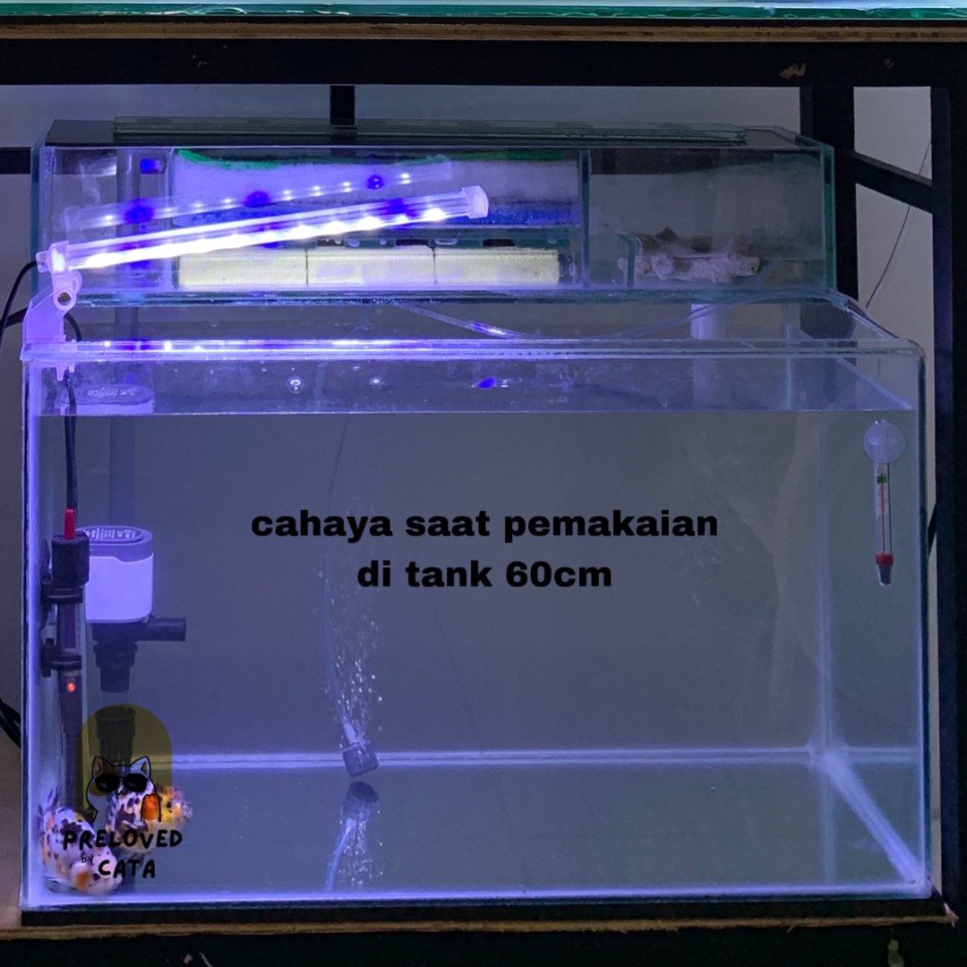 lampu aquarium 60cm, Perlengkapan Hewan, Aksesoris Hewan di Carousell