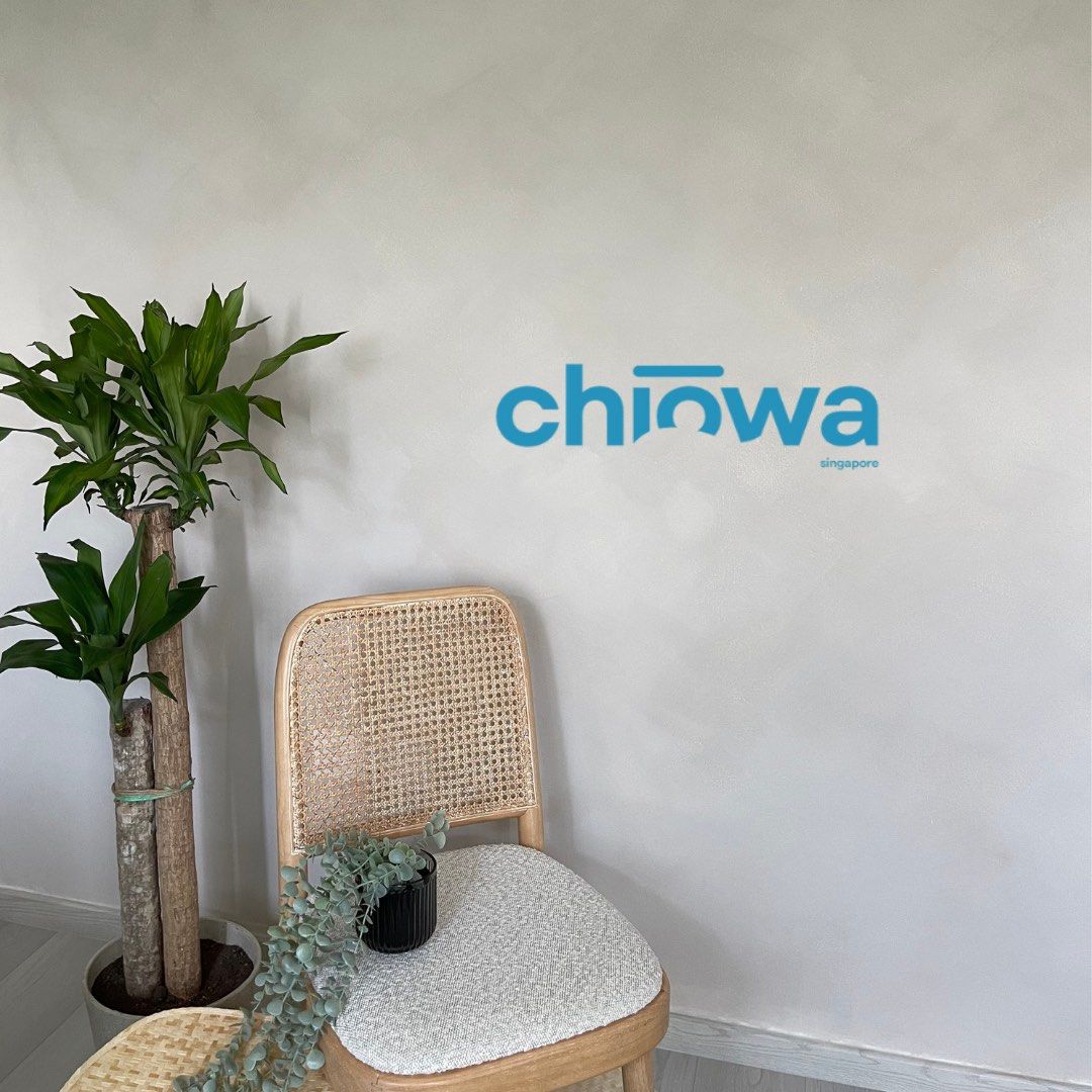 LIMEWASH PAINTING (using AUTHENTIC lime powder from EUROPE), Home