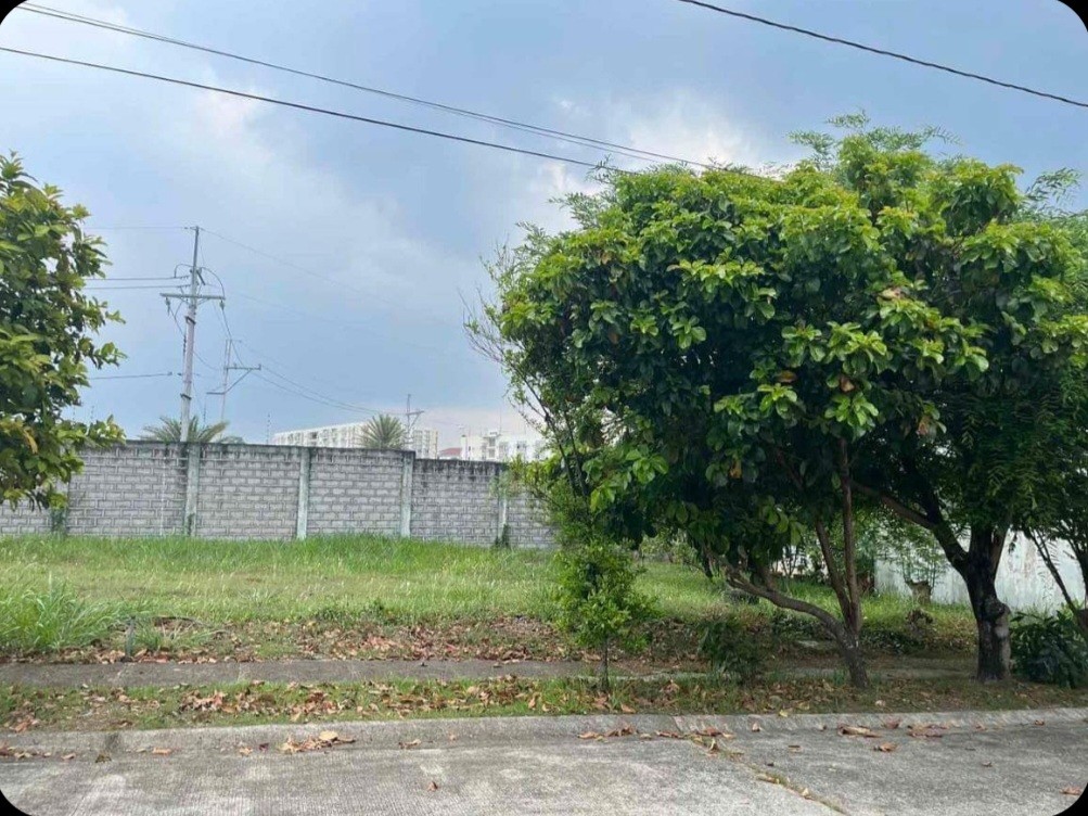 Lot For Sale in Chateau De Paris, South Forbes, Inchican, Silang