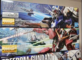 MG Aile Strike Infinite Justice Gundam Bandai