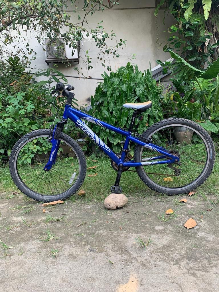 2009 trek store mt 220