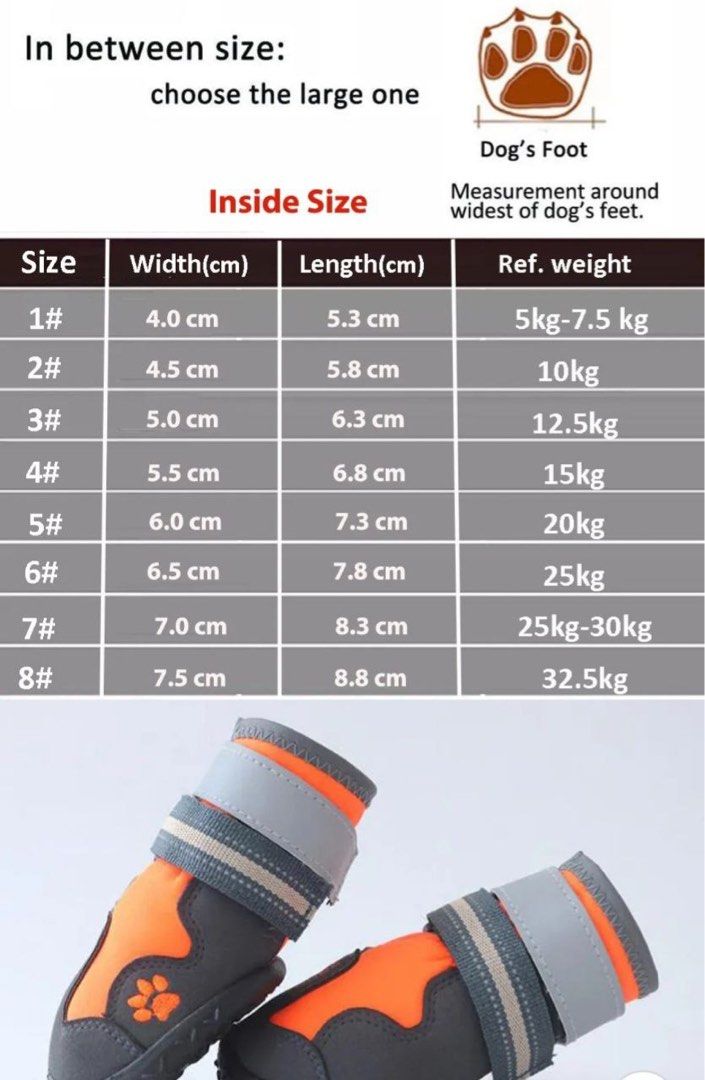 Mr shoes 2024 dog boots