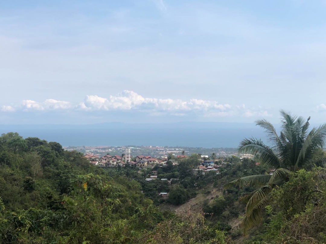 OVERLOOKING TALISAY CITY, CEBU, Property, For Sale, Lot on Carousell