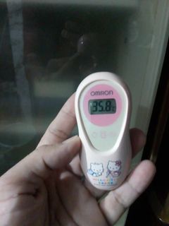 Thermometer (as-is)