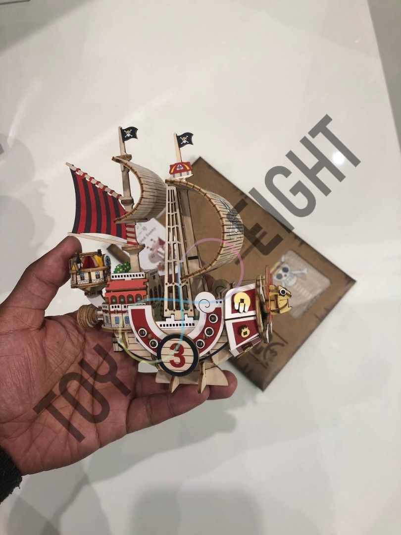 Wooden Art kigumi One Piece Thousand Sunny, Hobbies & Toys, Books