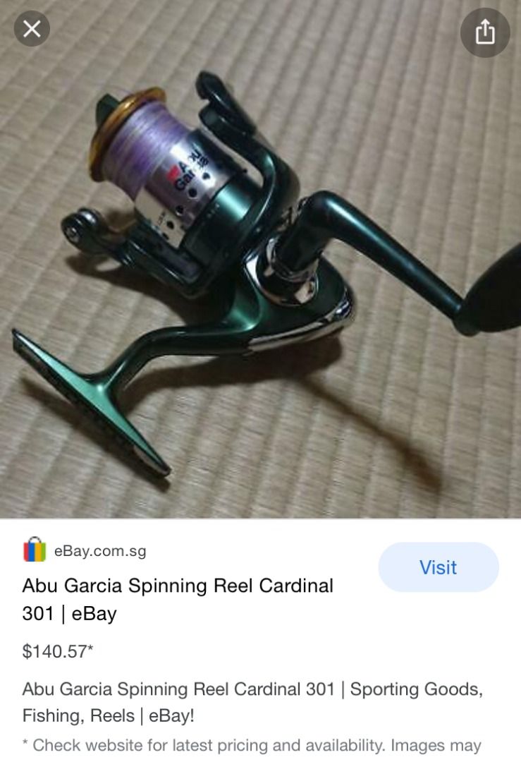 Abu Garcia Spinning Reel Cardinal 301 with Banyu X fishing rod & Fishing  Accessories